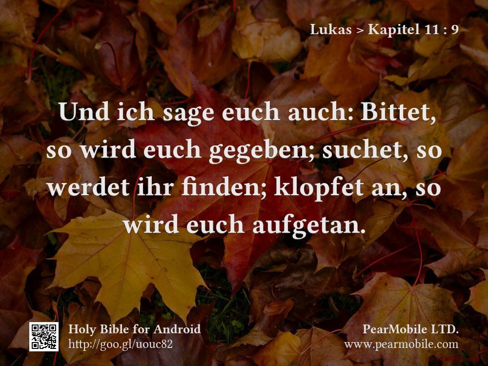 Lukas, Kapitel 11:9